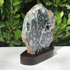 Orbed Patterned Agate Freeform