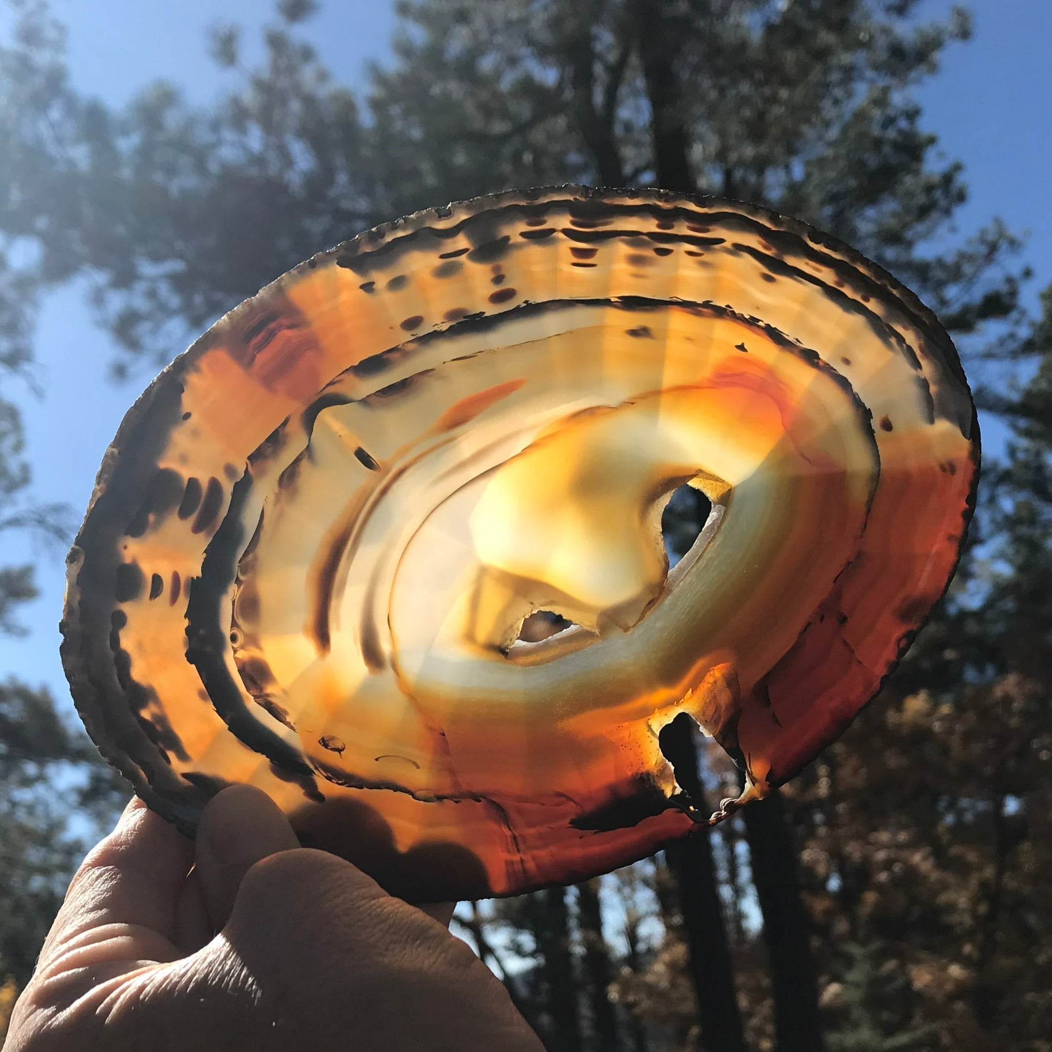 Brightly Translucent Agate Slice