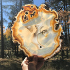 Radiant Brazilian Agate Slice