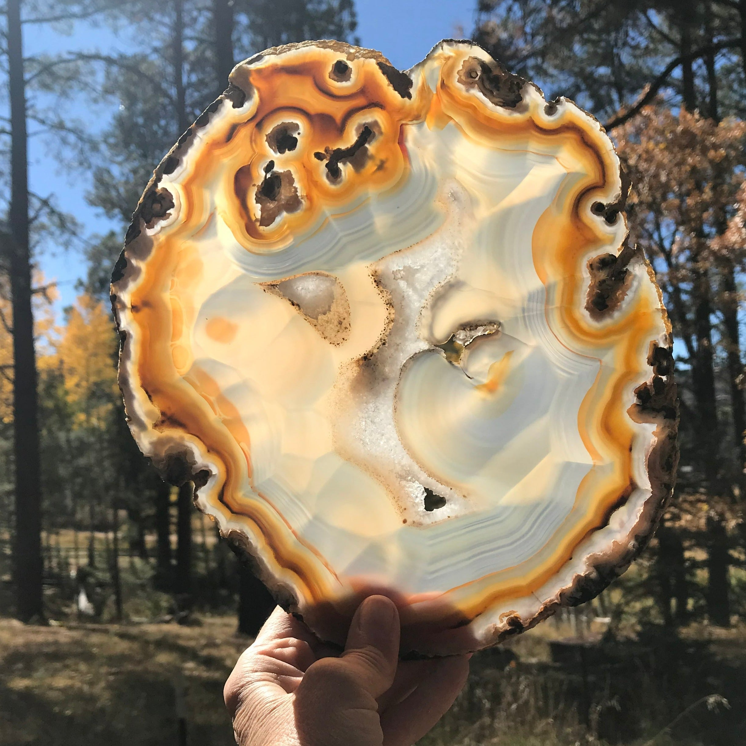Radiant Brazilian Agate Slice