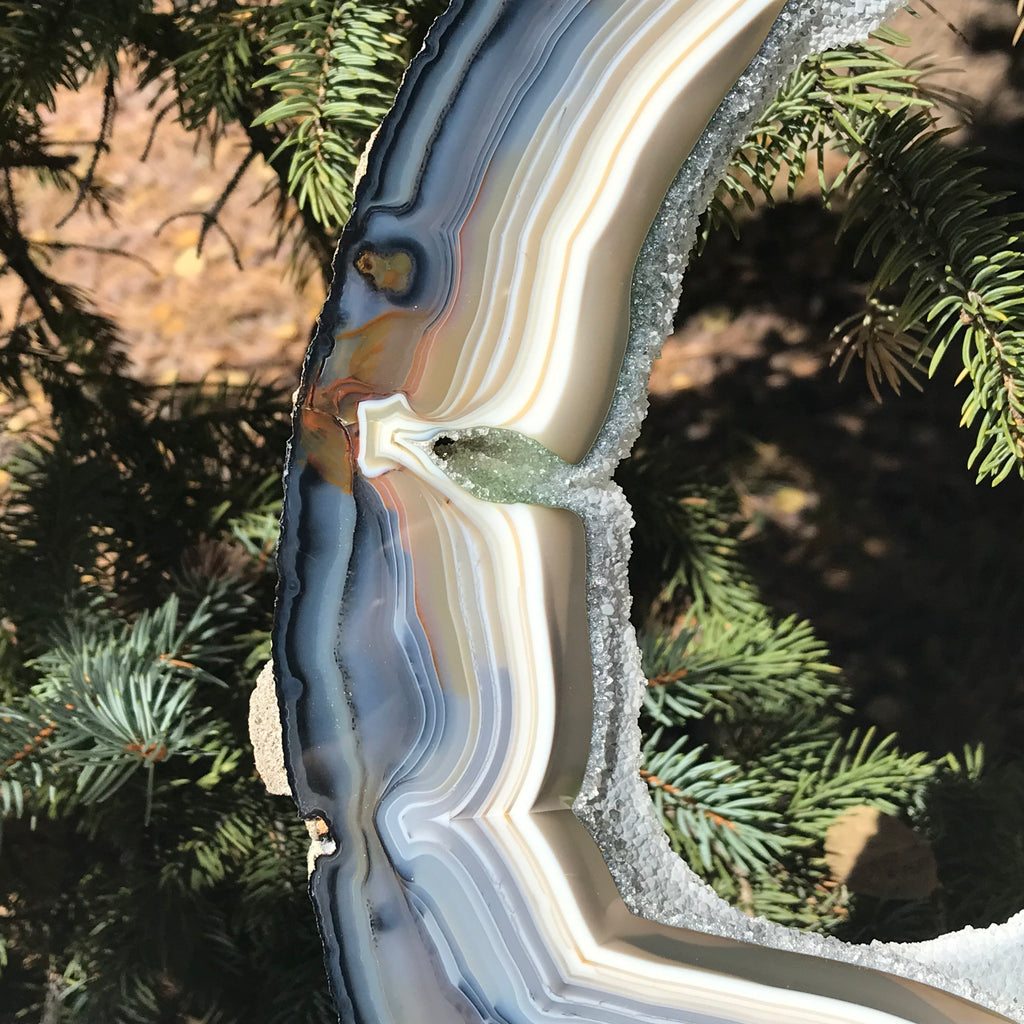 Prismatic Rings of Color Agate Slice