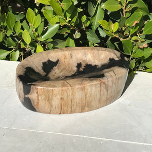 Polished Petrified Wood Bowl