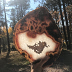 Crystal over Crystals Agate Slice