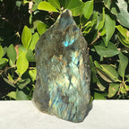 Brilliant Labradorite Freeform