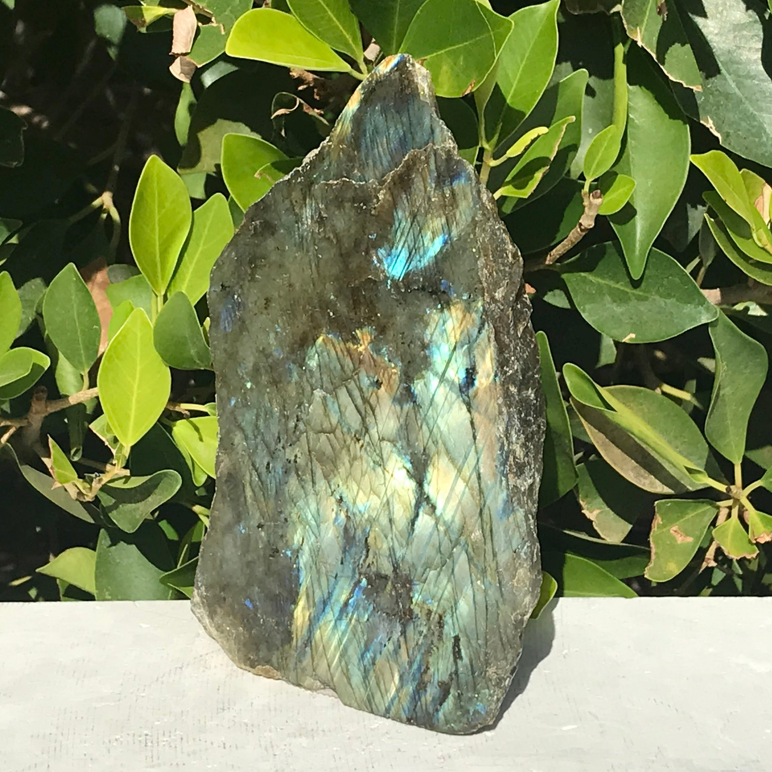 Brilliant Labradorite Freeform
