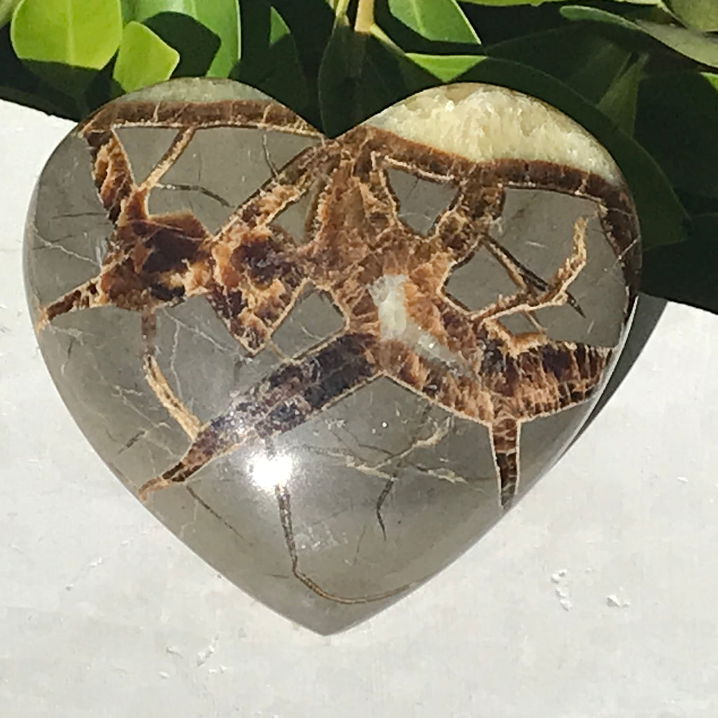 Hand Polished Septarian Heart