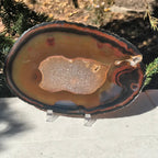 Dramatic Agate Slice