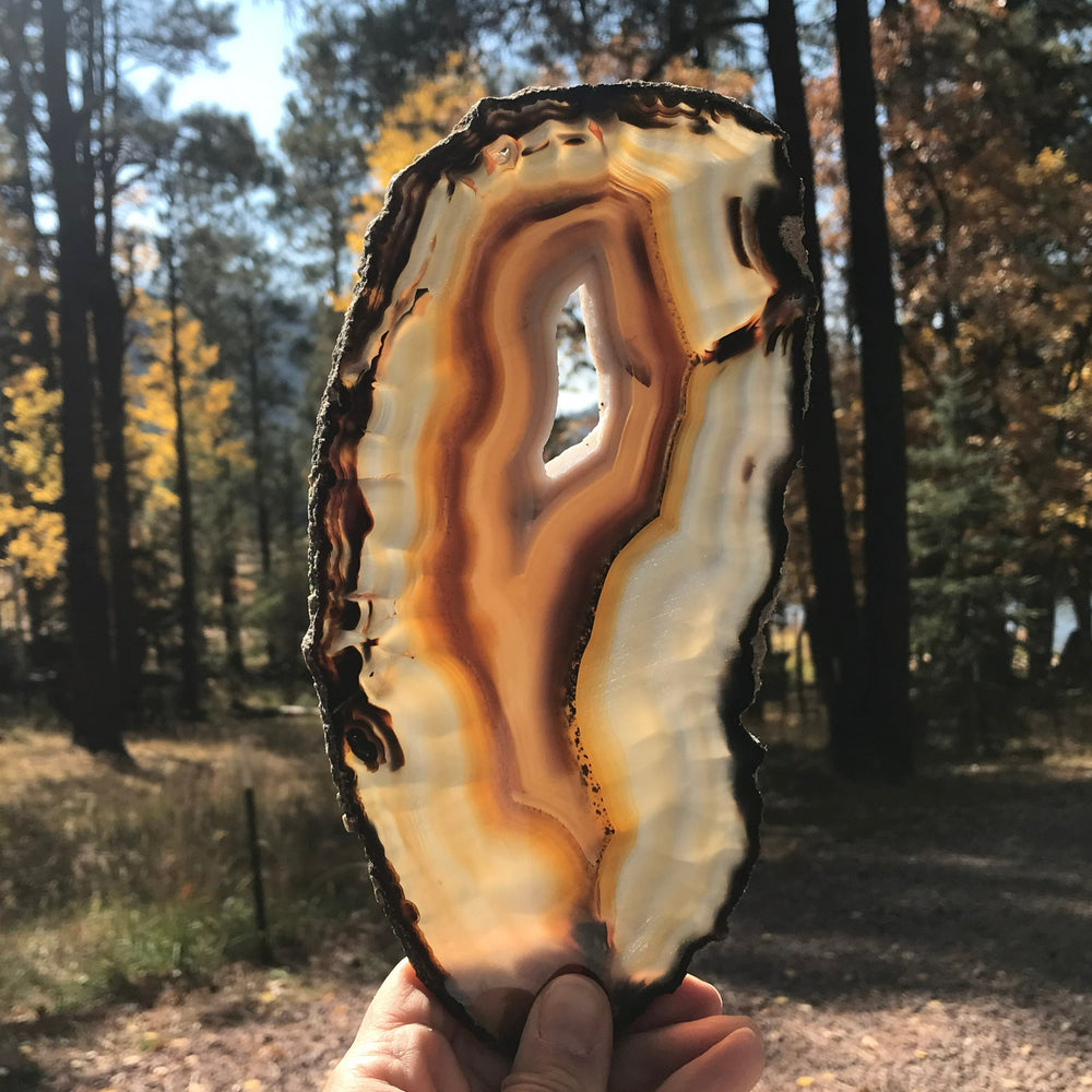 Microcrystalline Quartz and Banded Agate Slice