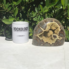 Polished Septarian Nodule