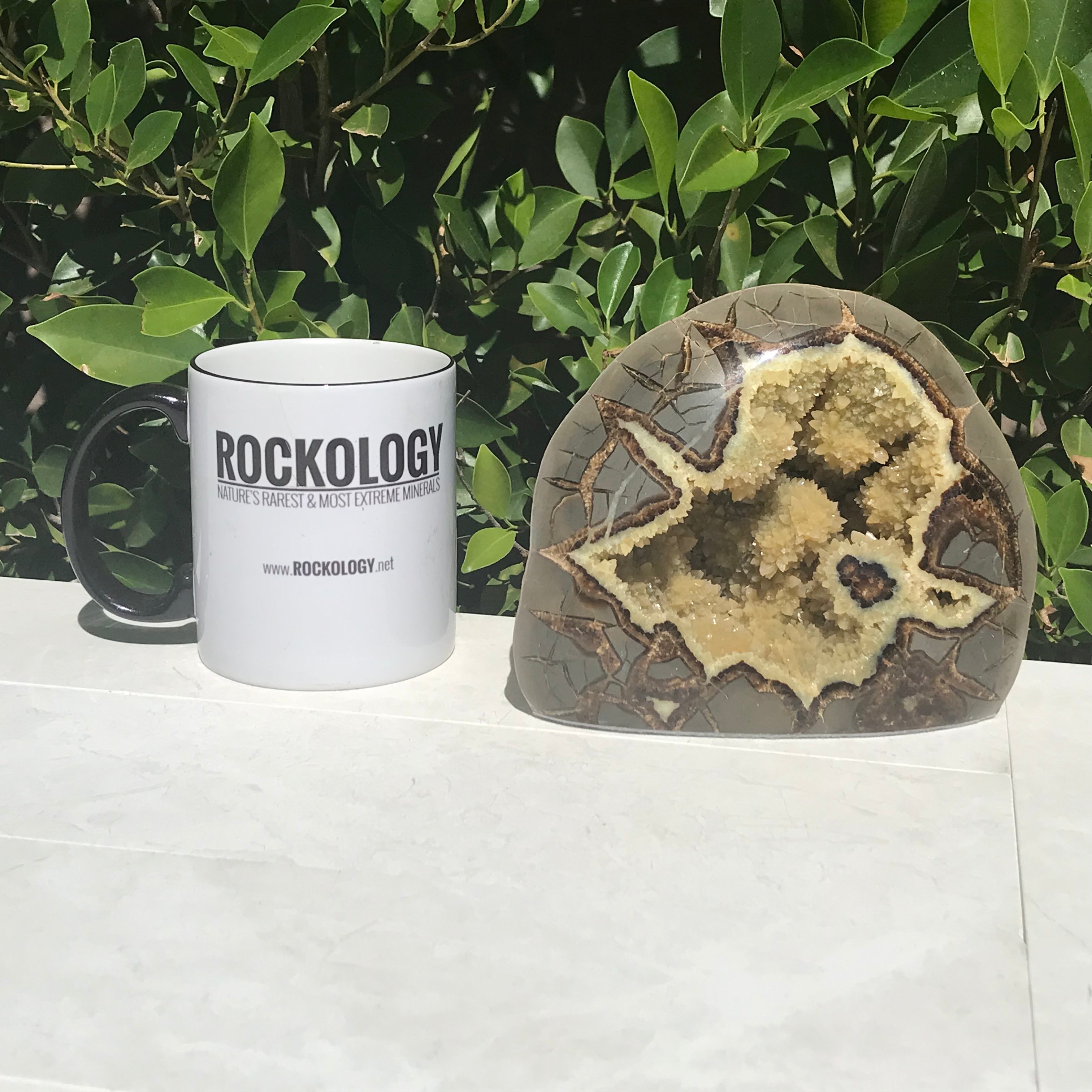 Polished Septarian Nodule