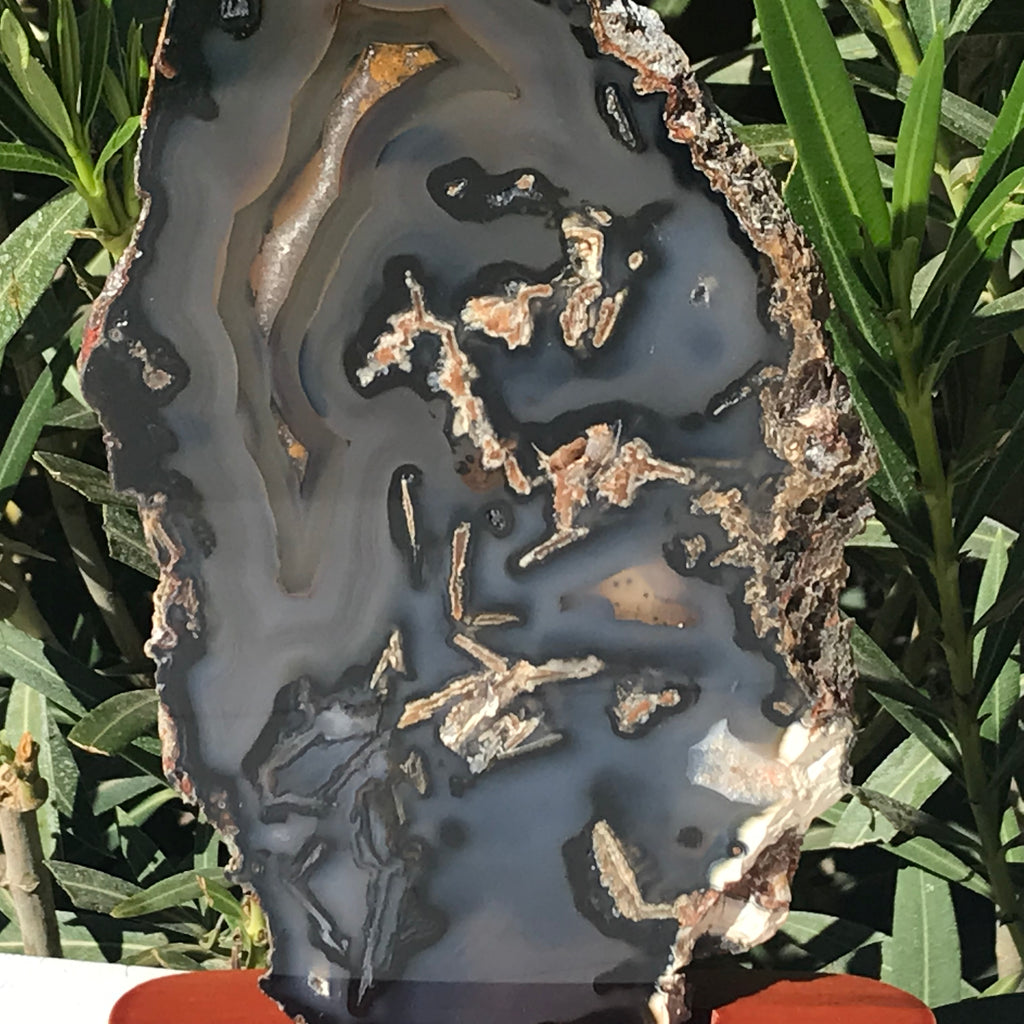 Brazilian Agate Slab