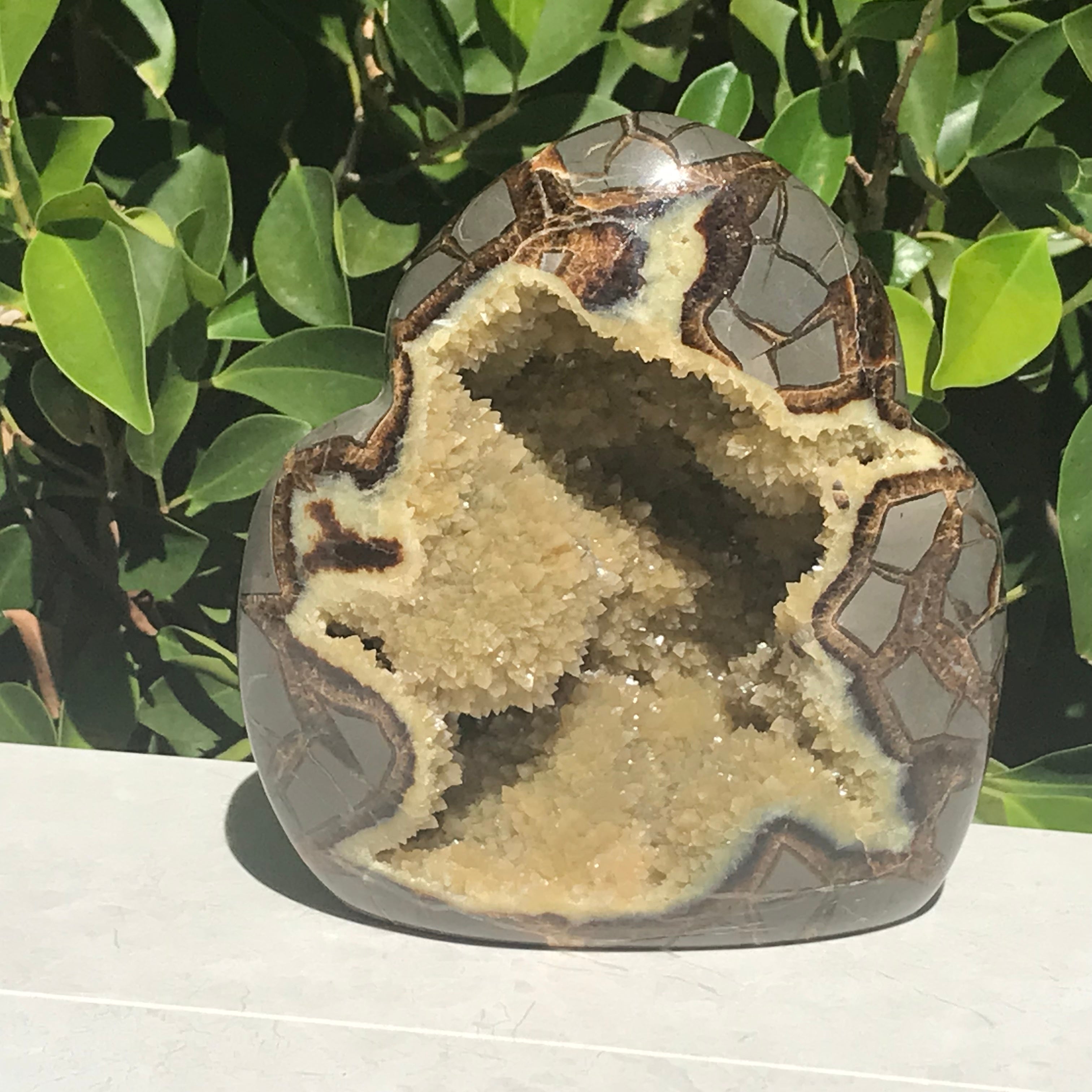 Septarian Geode