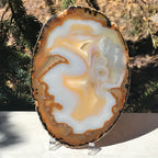 Gleaming Translucency Agate Slice