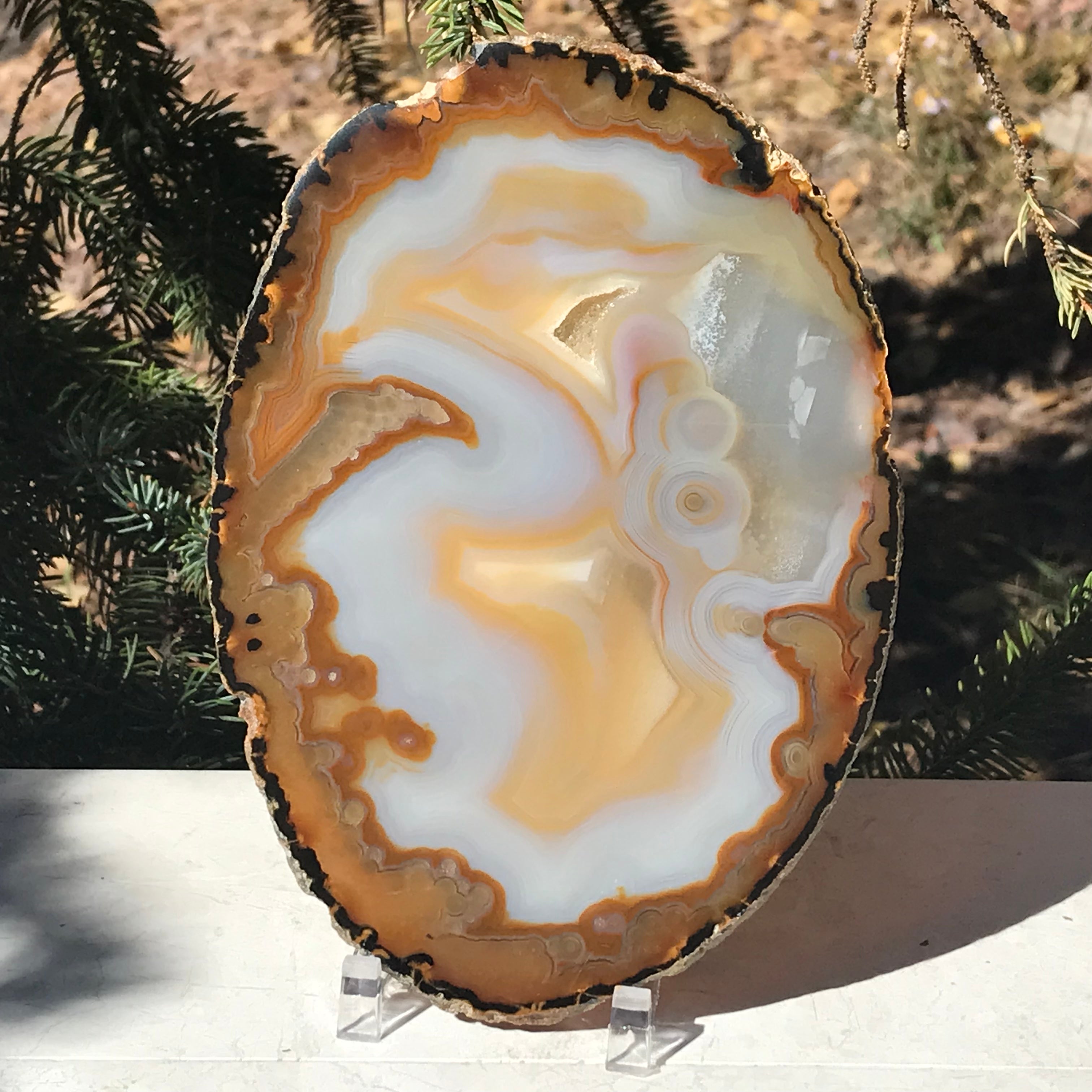 Gleaming Translucency Agate Slice