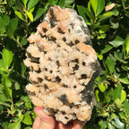 Pine Cone Quartz Cluster