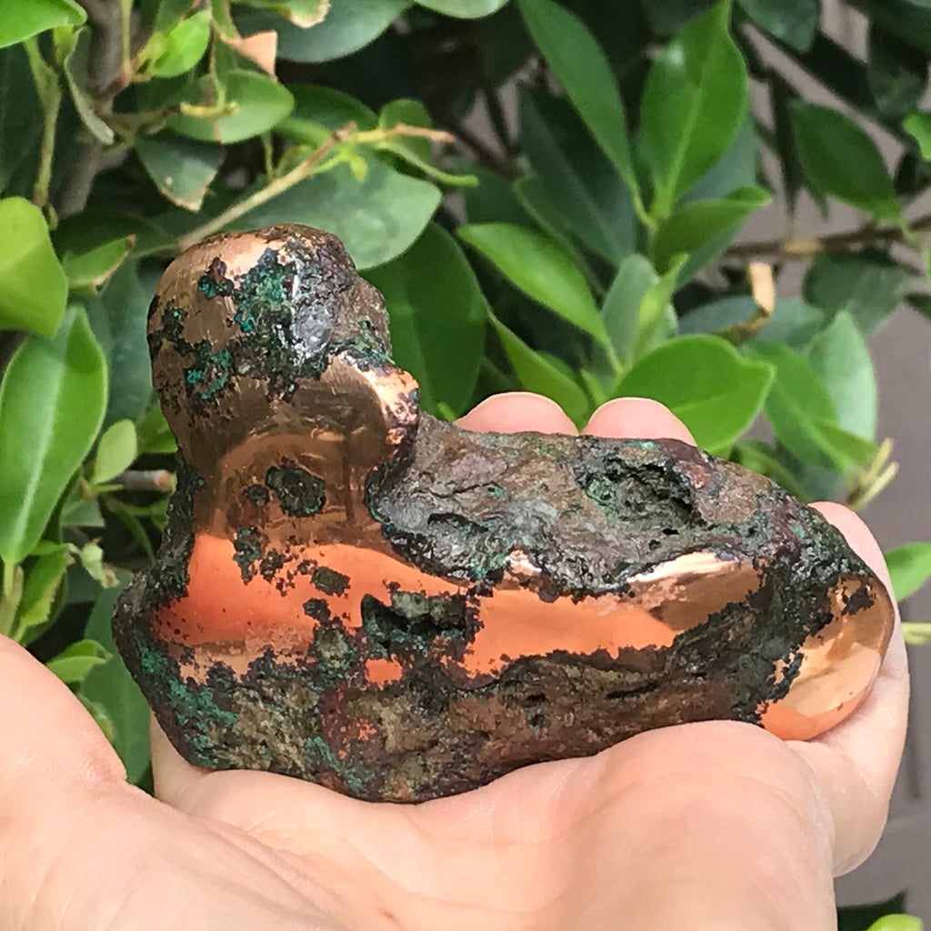 Float Copper Freeform