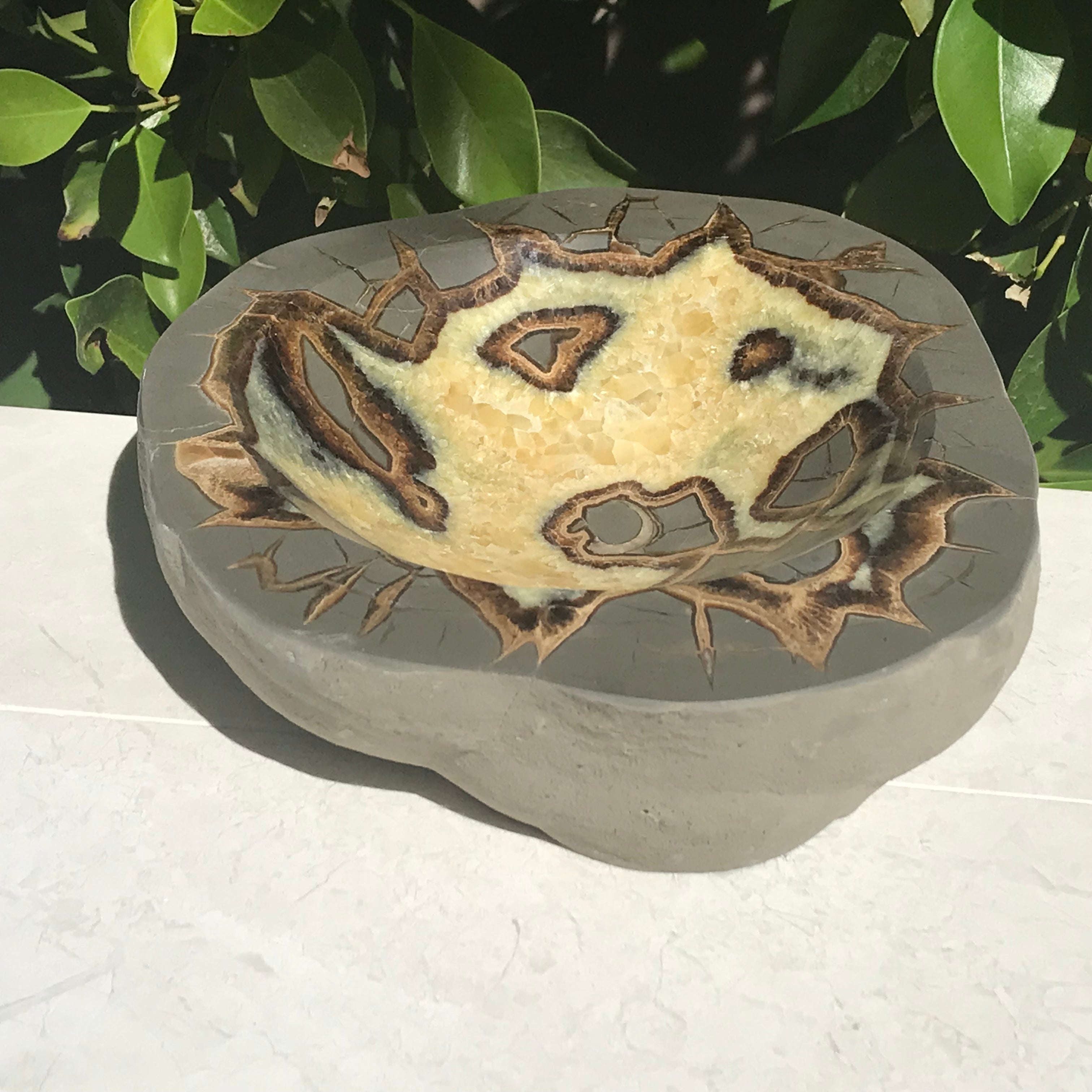 Ornately Patterned Septarian Bowl