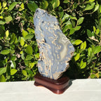 Brazilian Agate Freeform