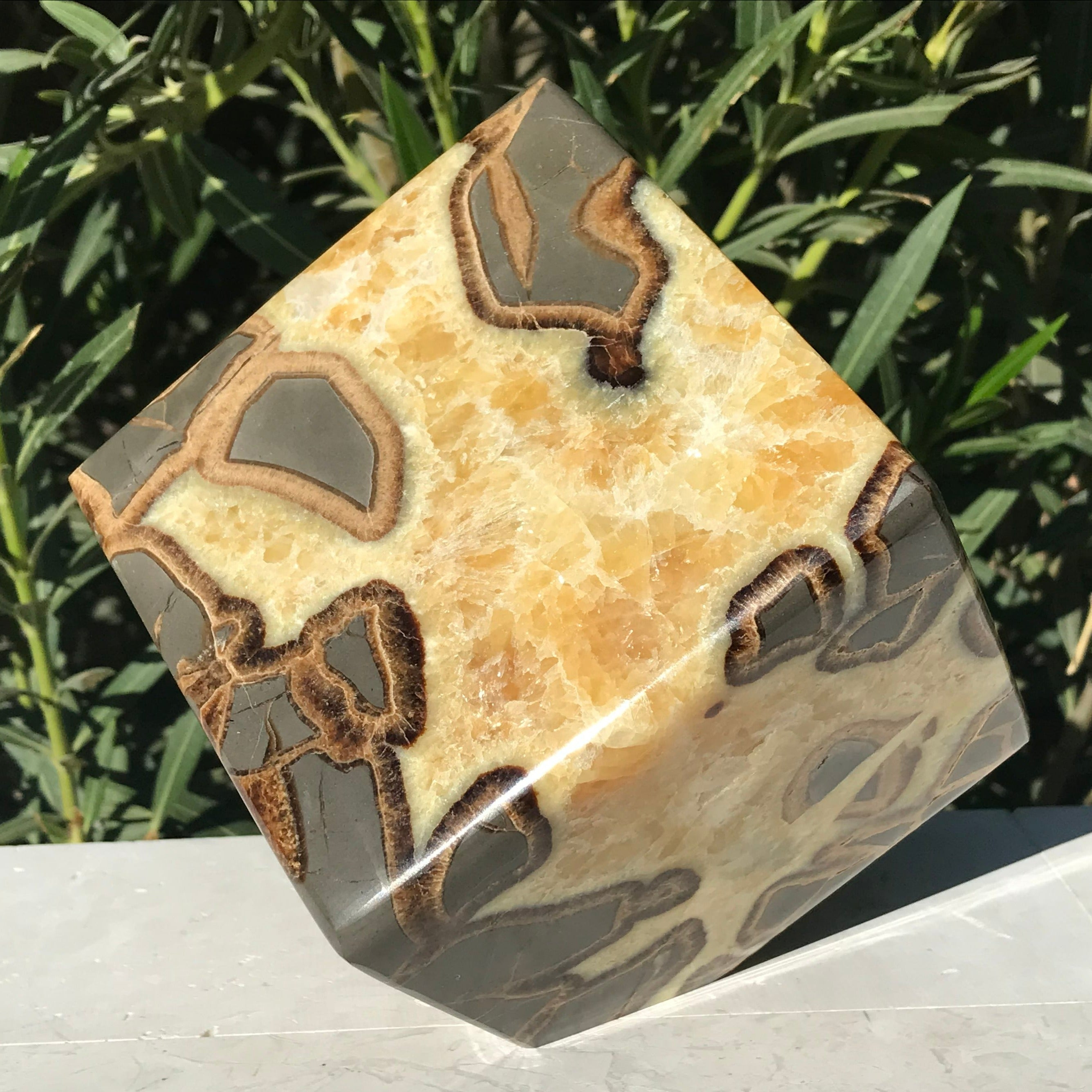 Standing Septarian Cube