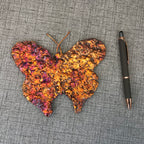 Rainbow Copper Splash Butterfly Art