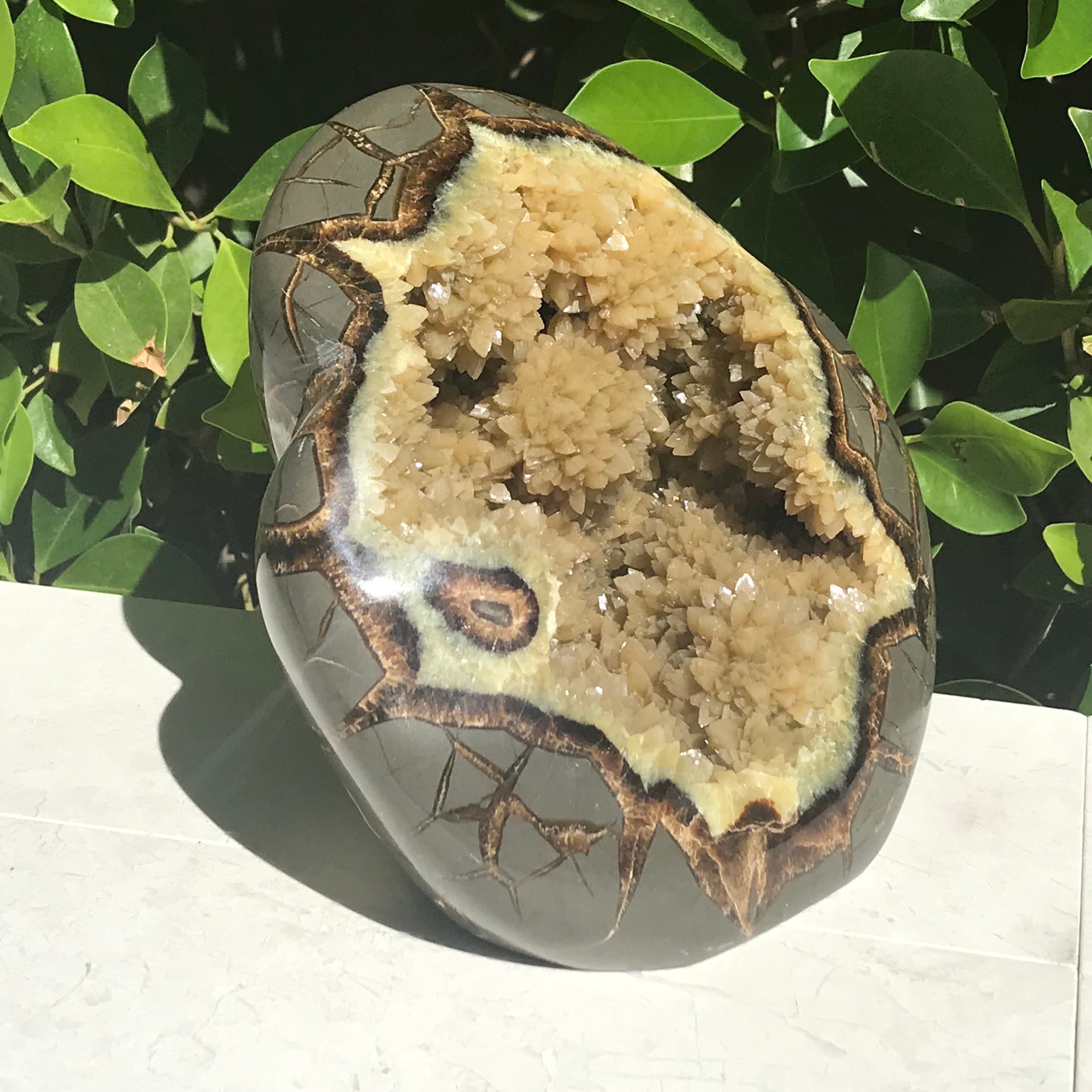 Polished Septarian Sculpture
