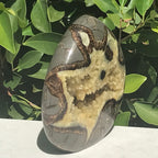 Flame Shaped Polished Septarian