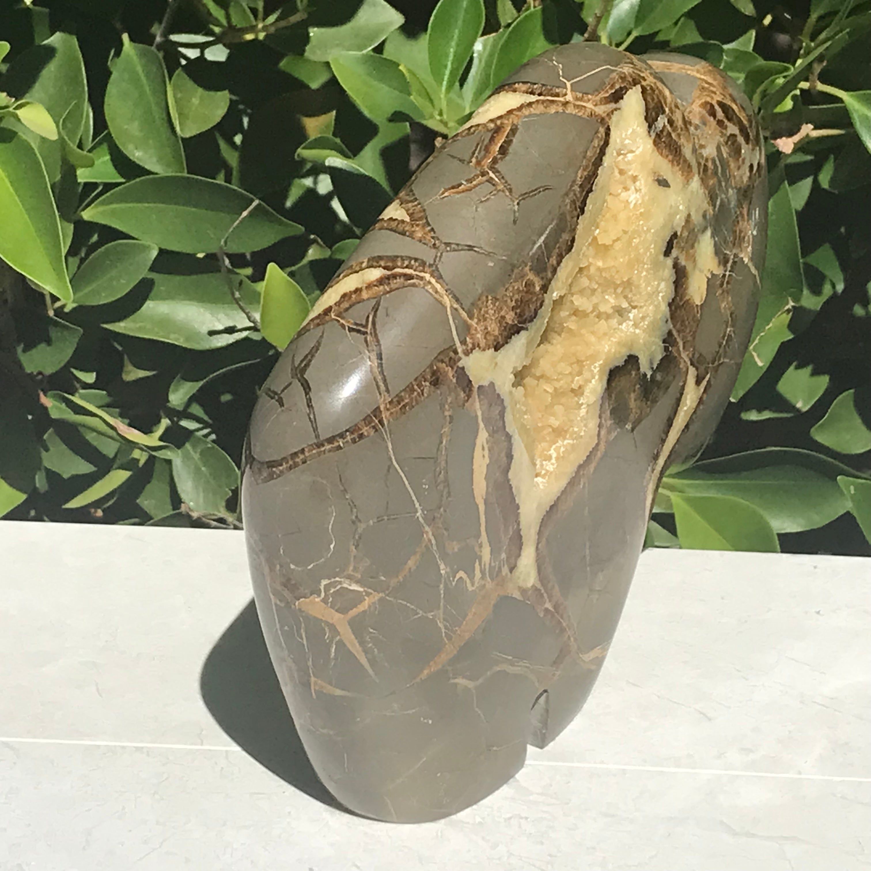 Septarian Buffalo