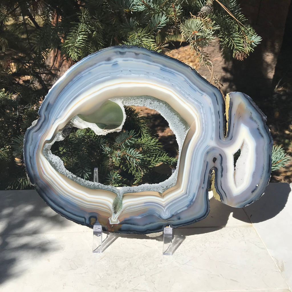 Prismatic Rings of Color Agate Slice