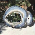Prismatic Rings of Color Agate Slice