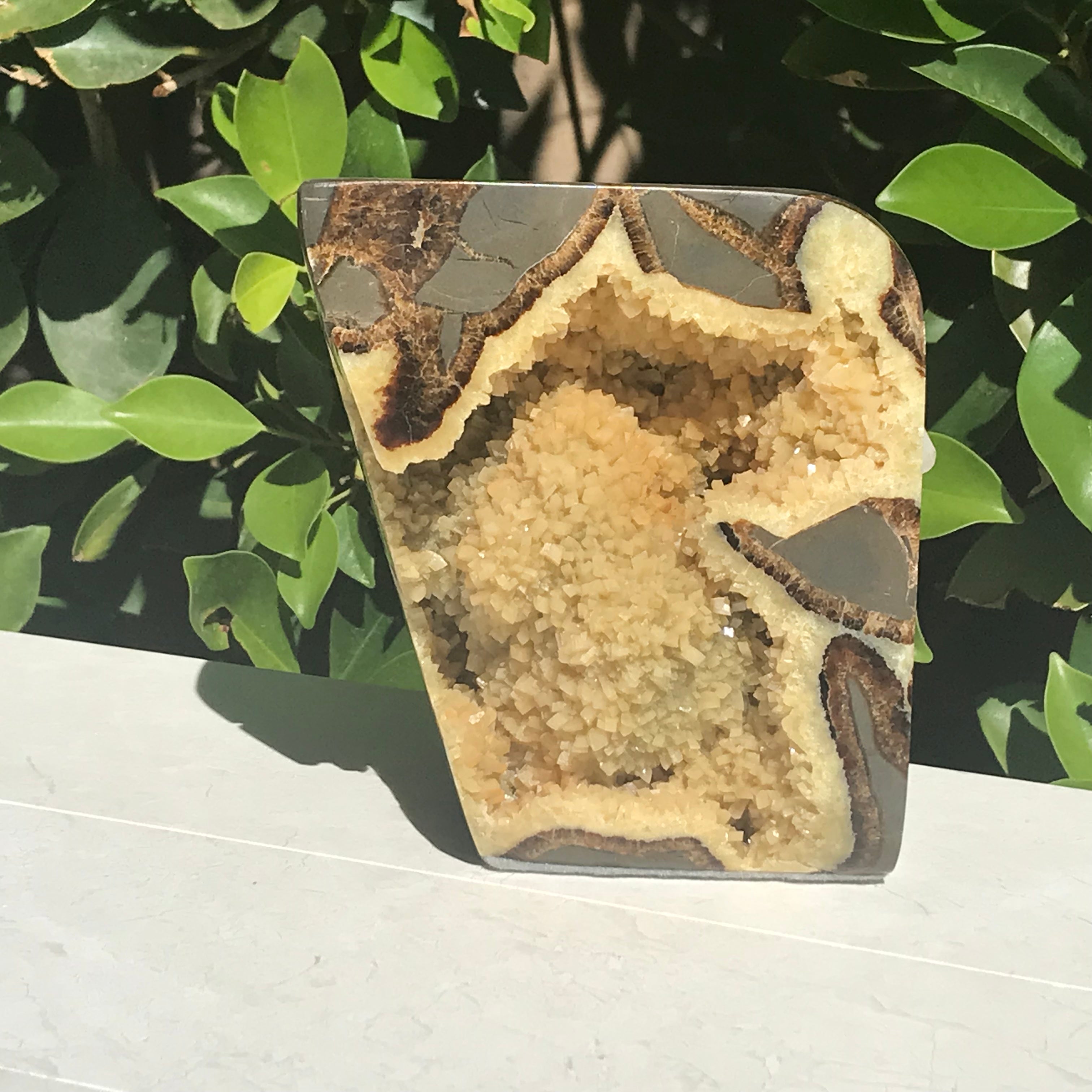 Polished Septarian Geode