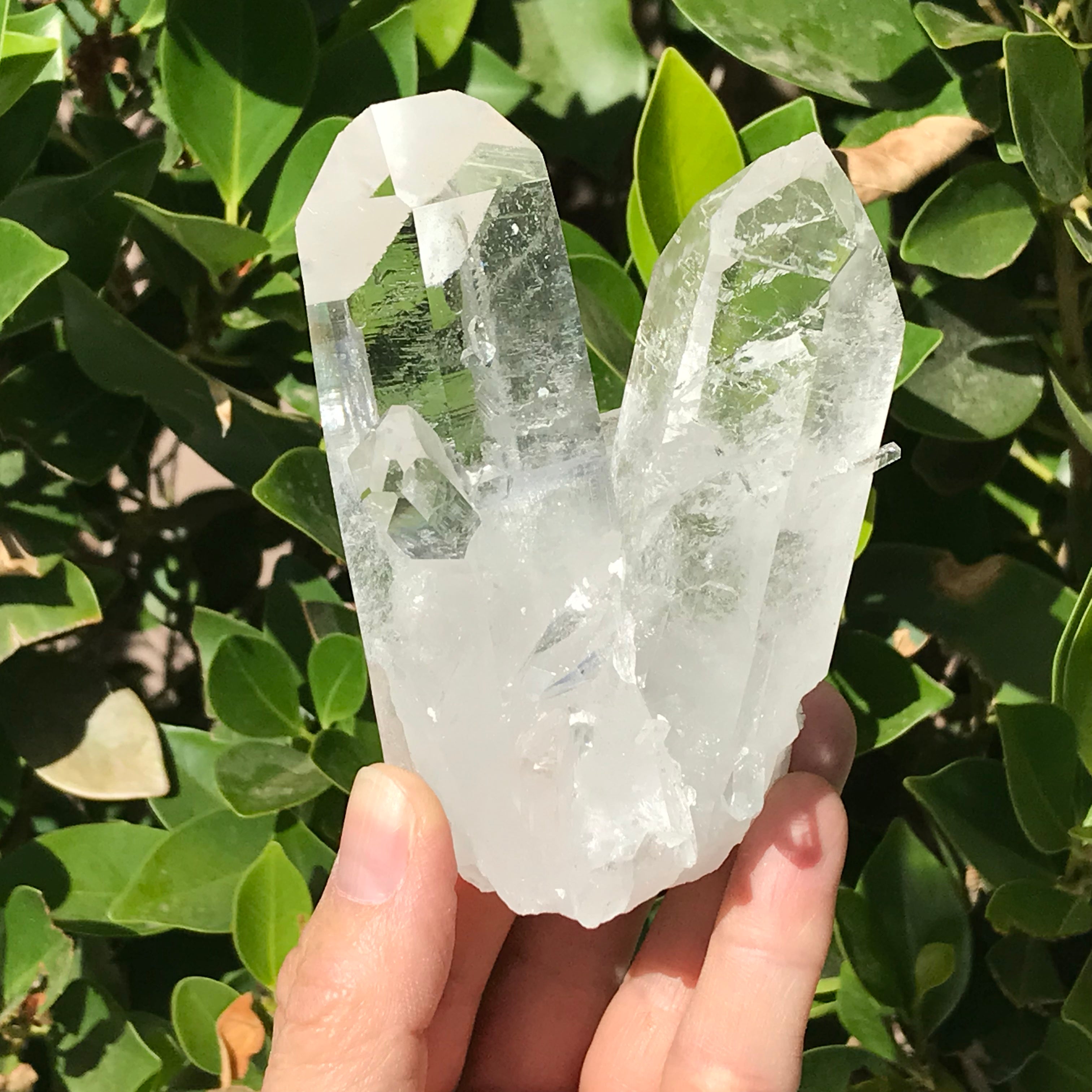 Twin Points Brazilian Crystal Cluster