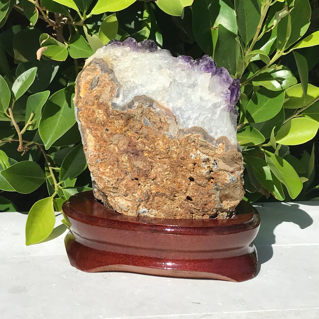 Brazilian Amethyst Cluster