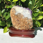 Brazilian Amethyst Cluster