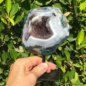 Standing Light Blue Agate and Amethyst Geode