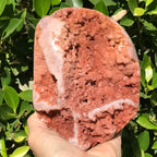 Brazilian Rose Plate