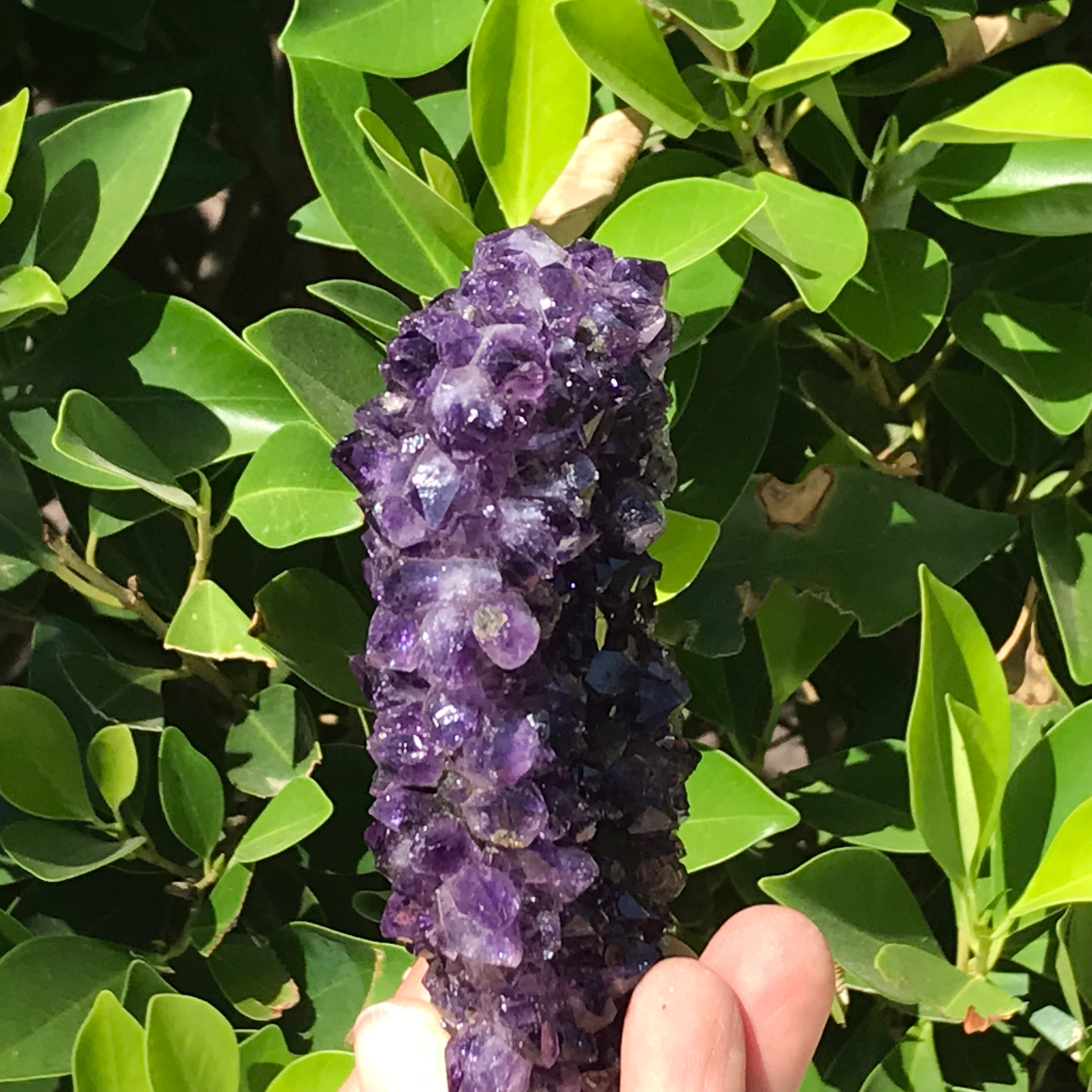Uruguayan Amethyst Plate