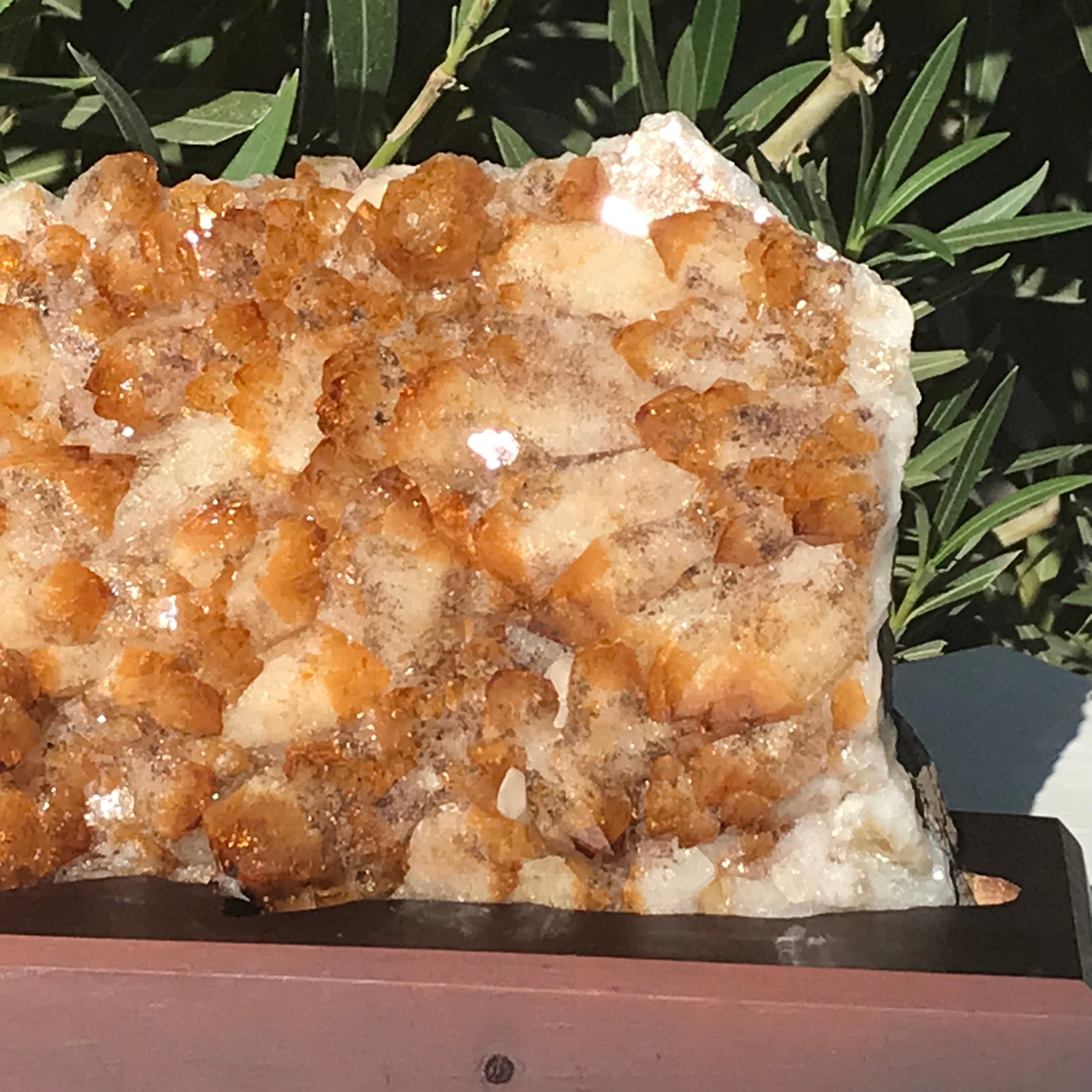 Brazilian Citrine Cluster