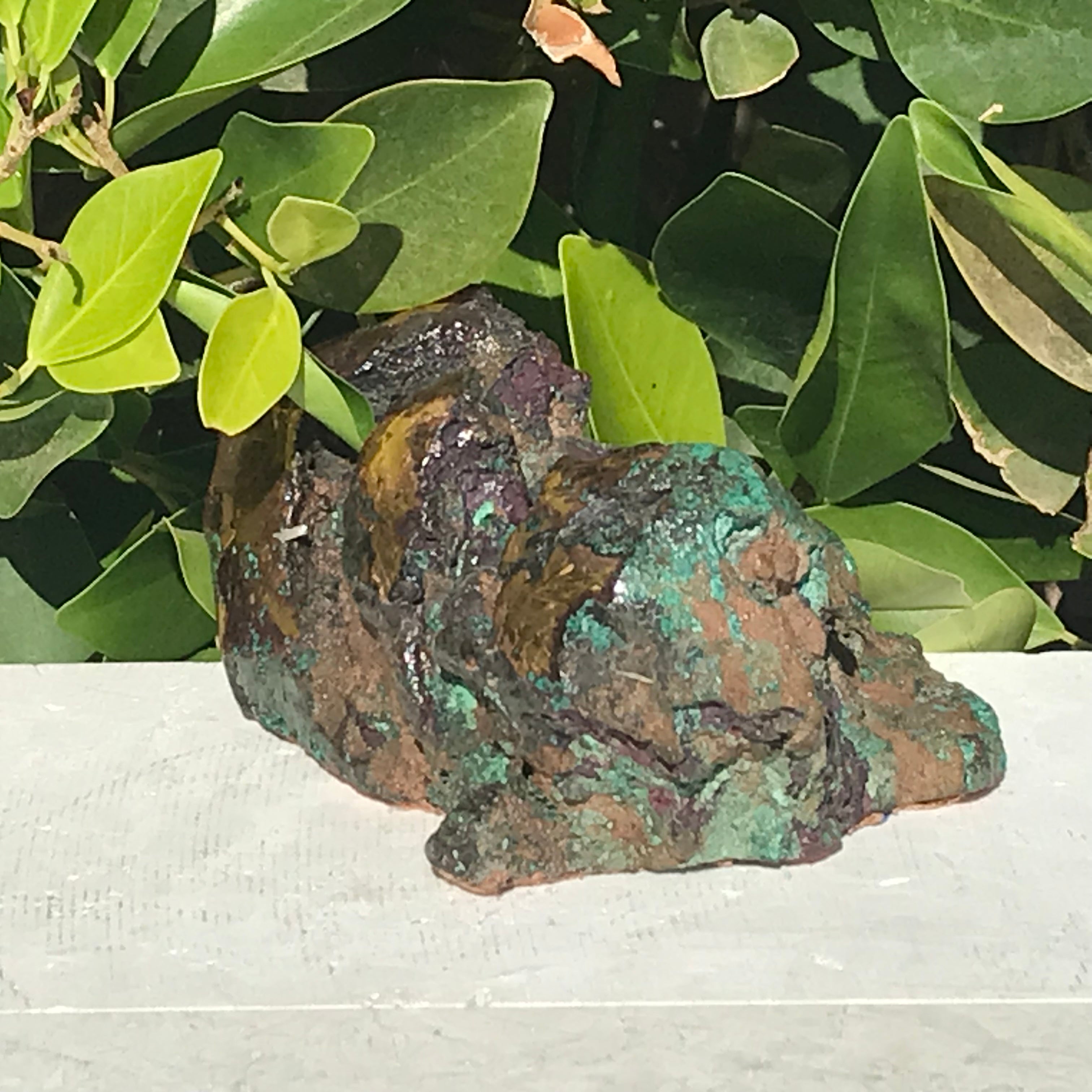 Michigan Float Copper Freeform
