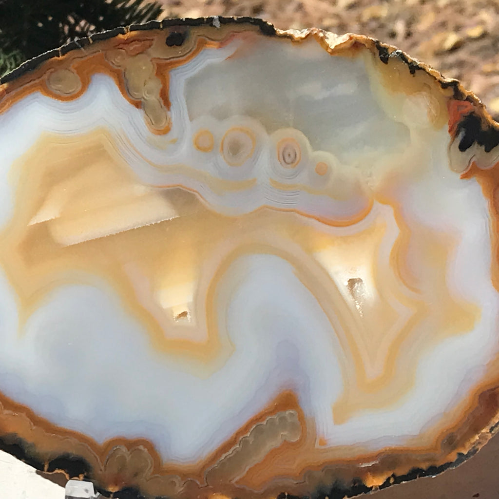 Gleaming Translucency Agate Slice