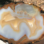 Gleaming Translucency Agate Slice