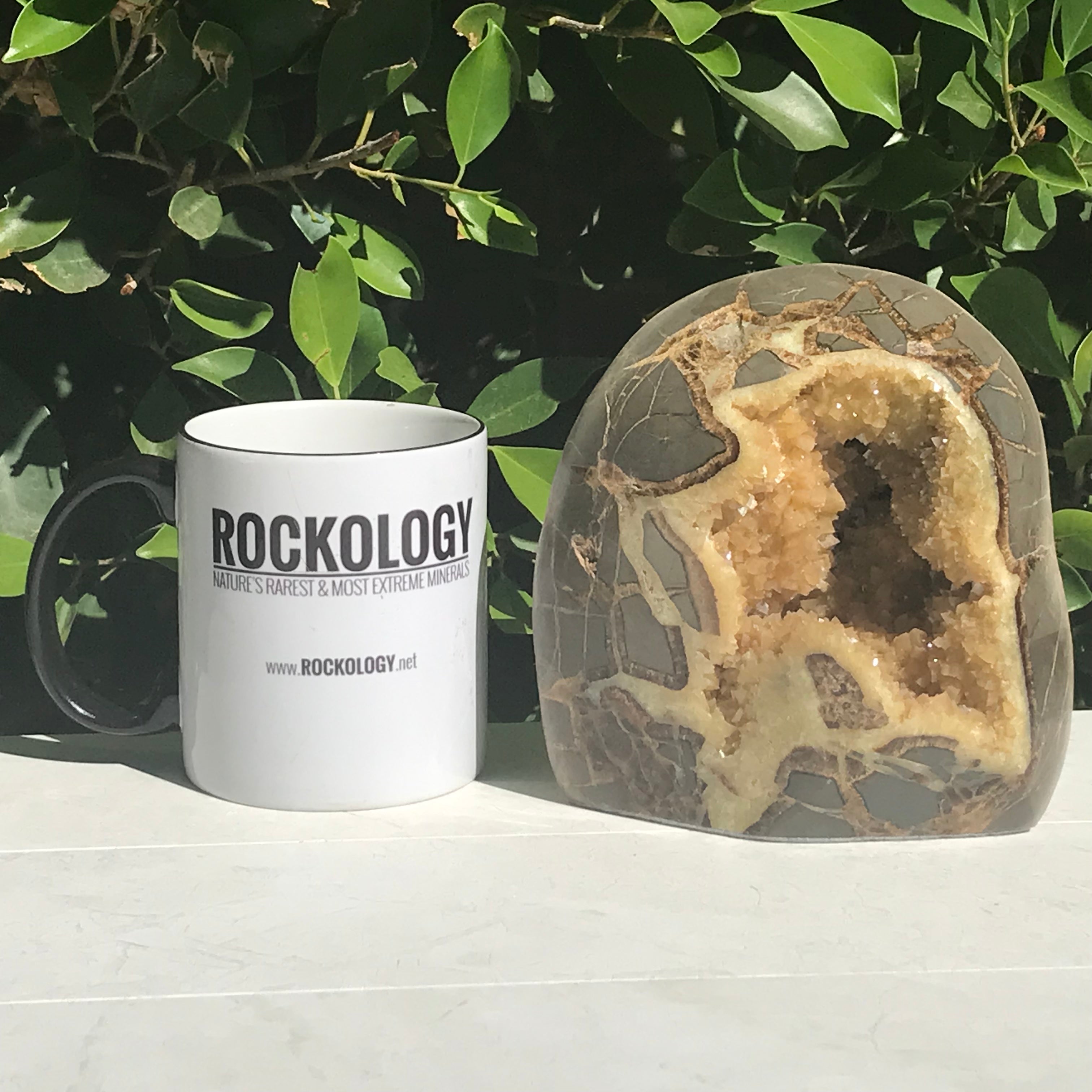 Crystal Filled Septarian Geode