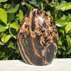 Black Opal Freeform