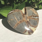 Utahn Septarian Heart