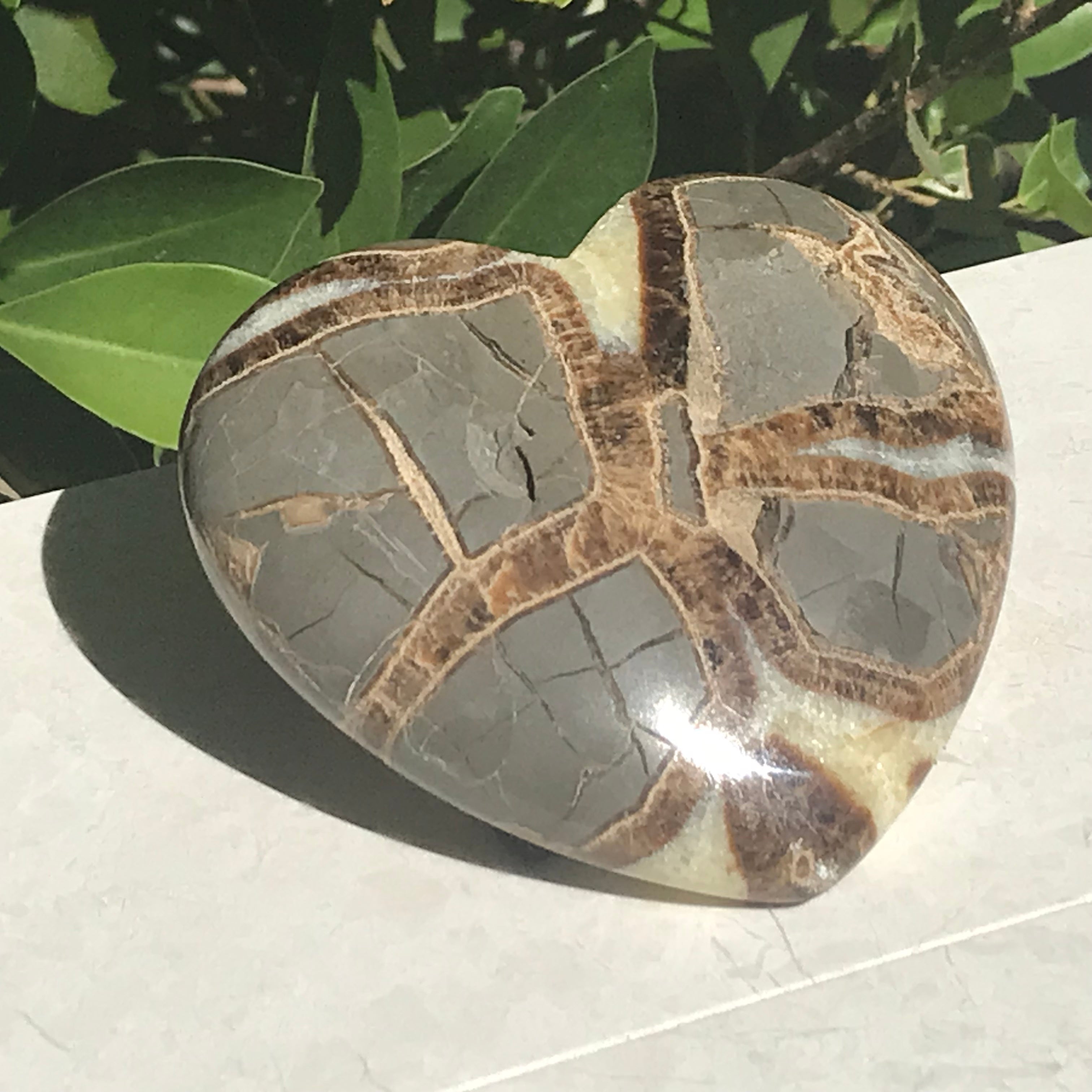 Utahn Septarian Heart