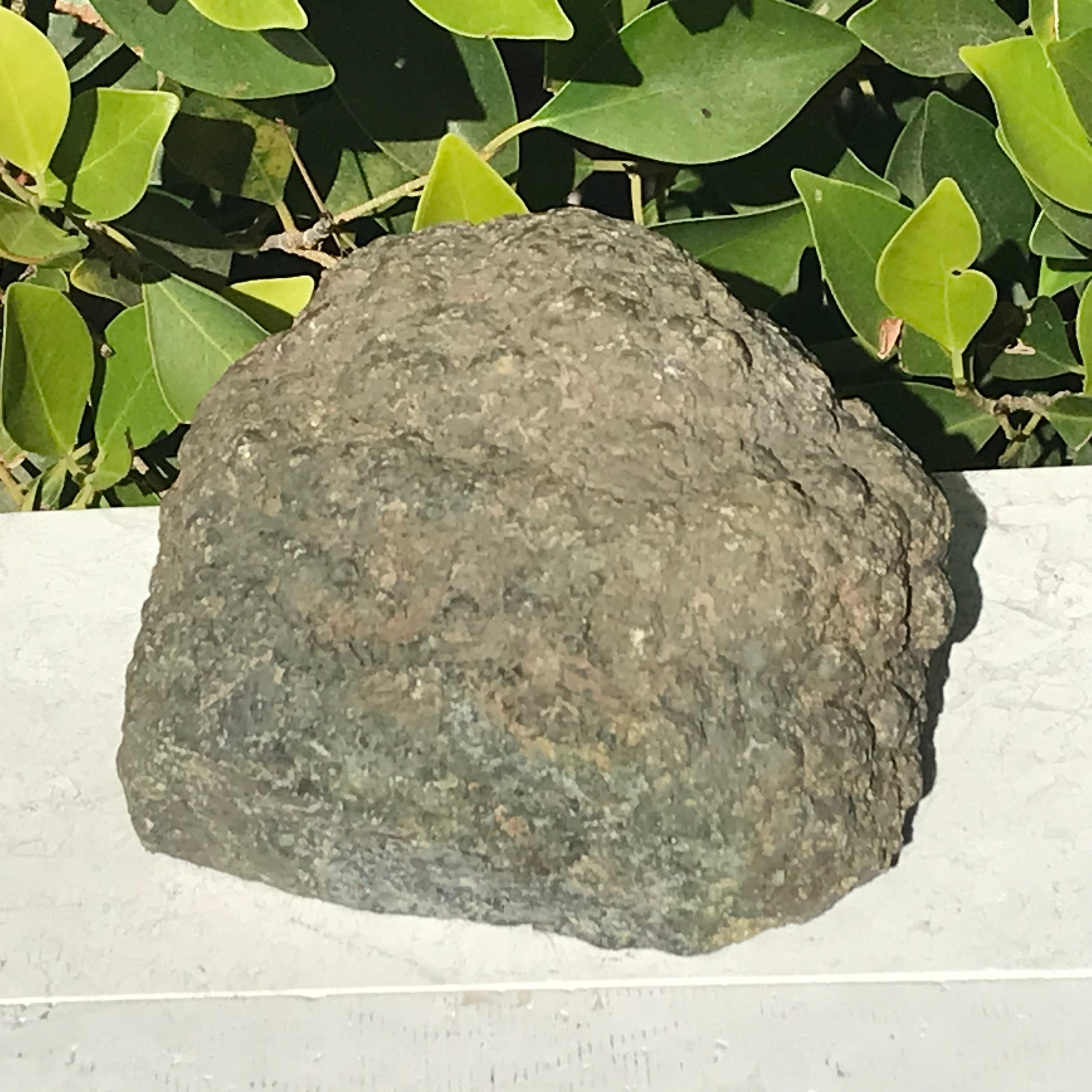 Diamond Insert Thunder Egg