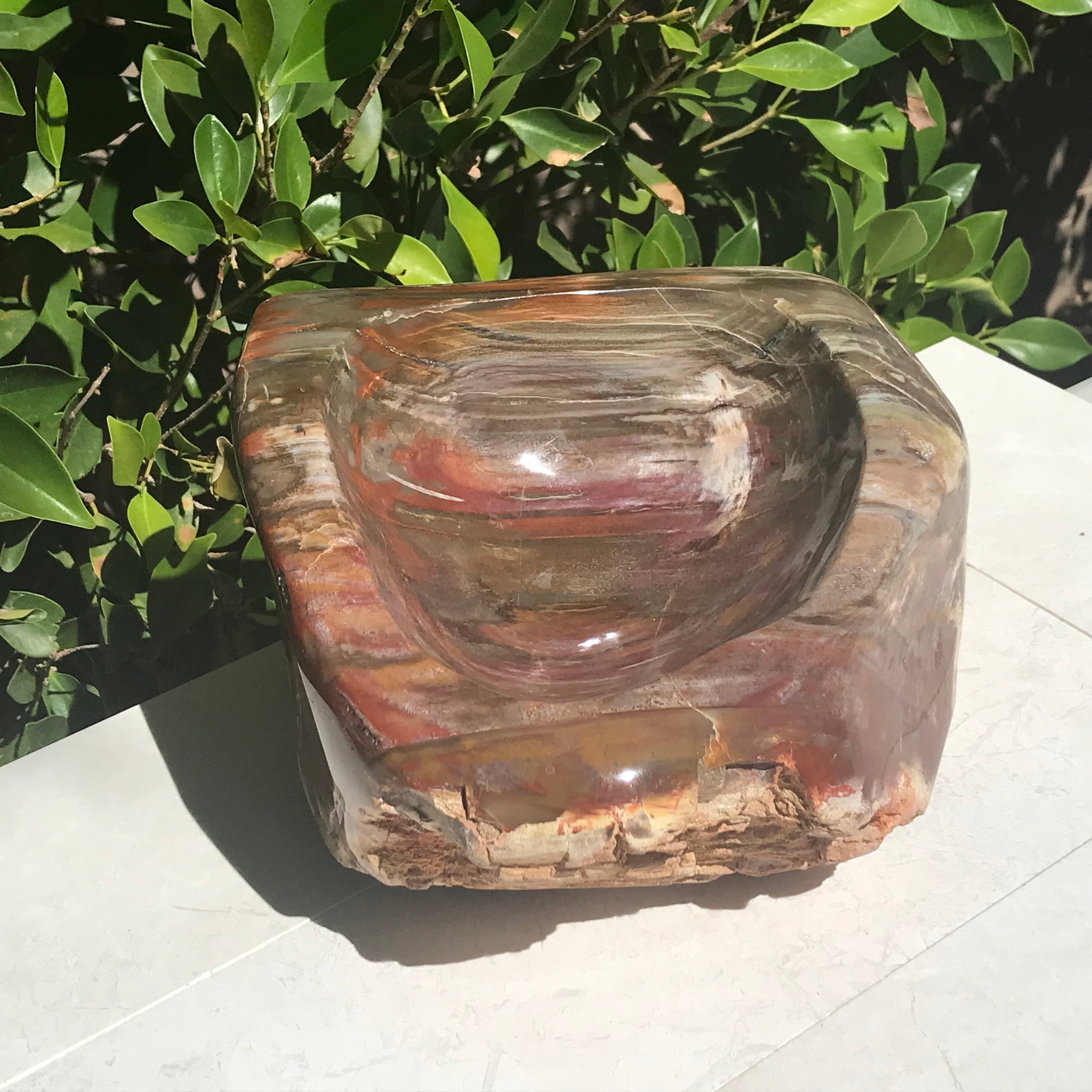 Multihued Petrified Wood Bowl