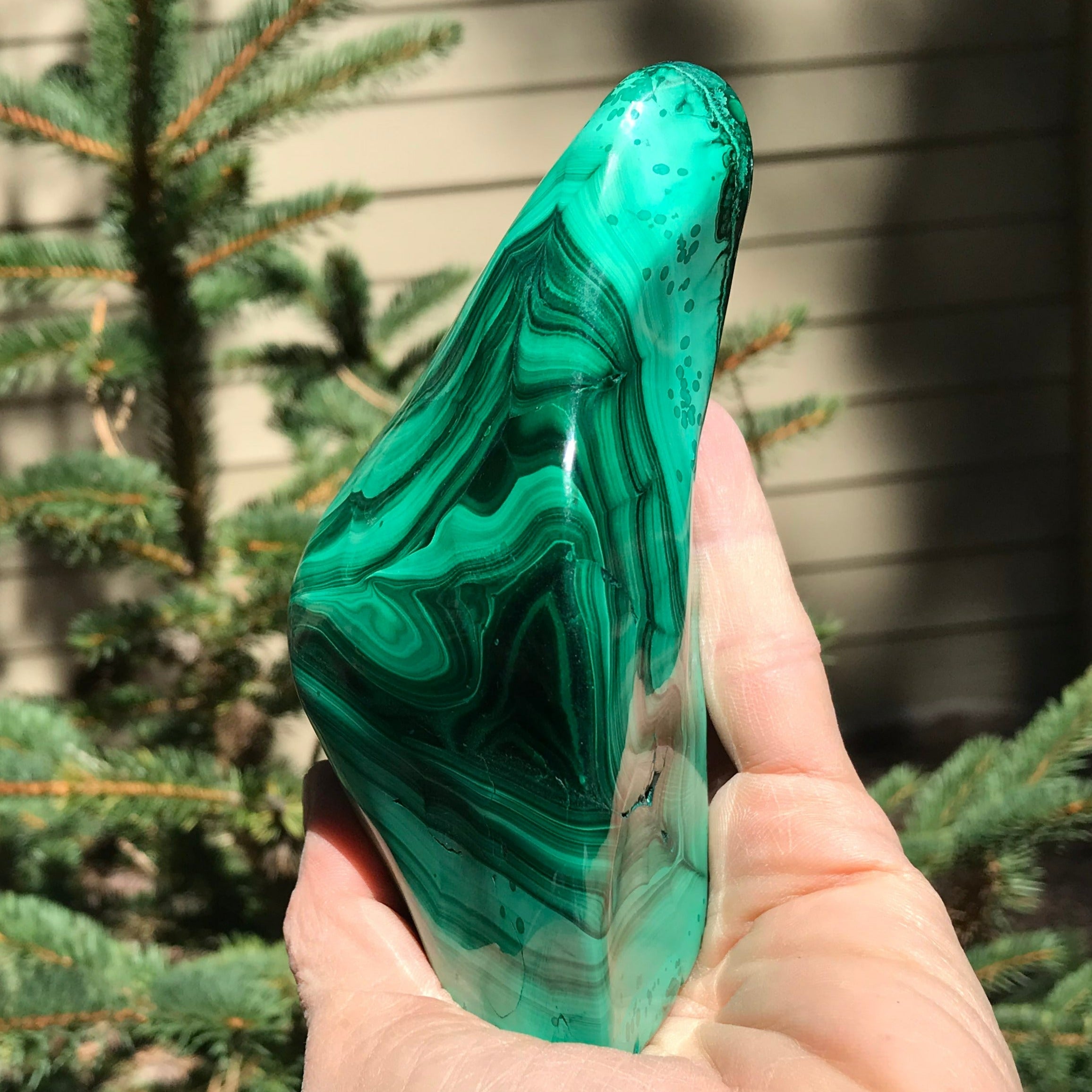 Polished Malachite with Chrysocolla