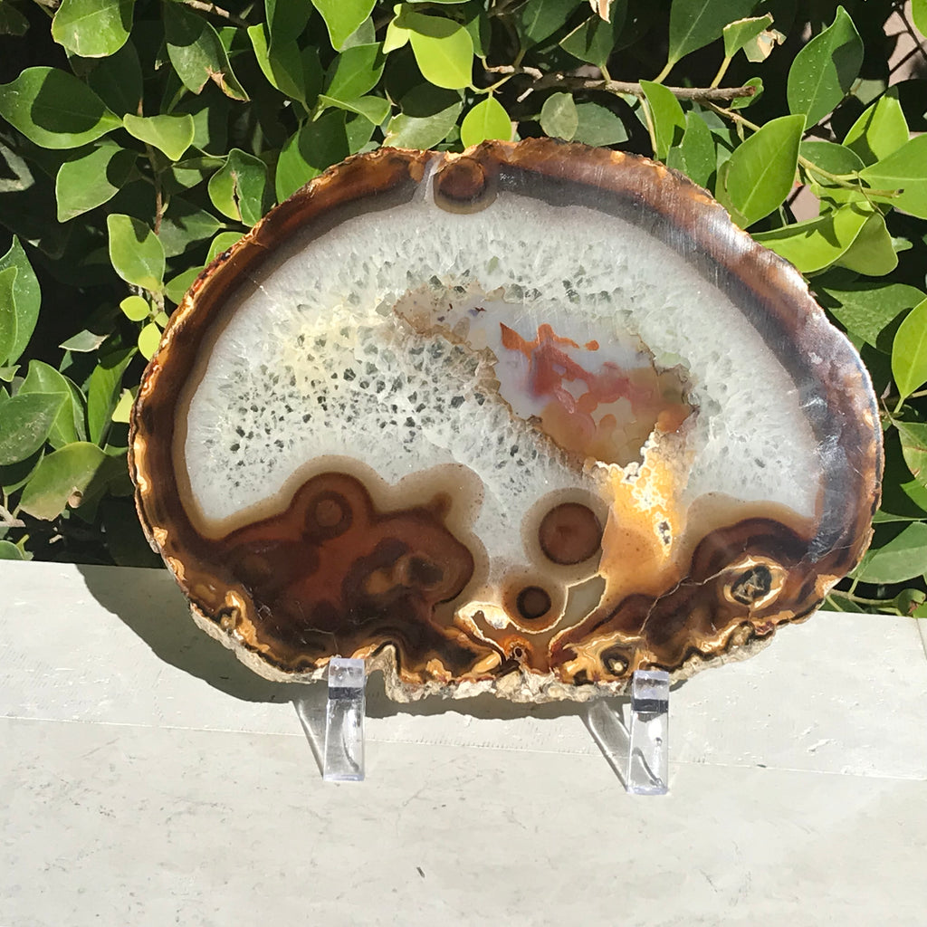 Hues of a Rainbow Agate Slice