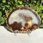 Hues of a Rainbow Agate Slice