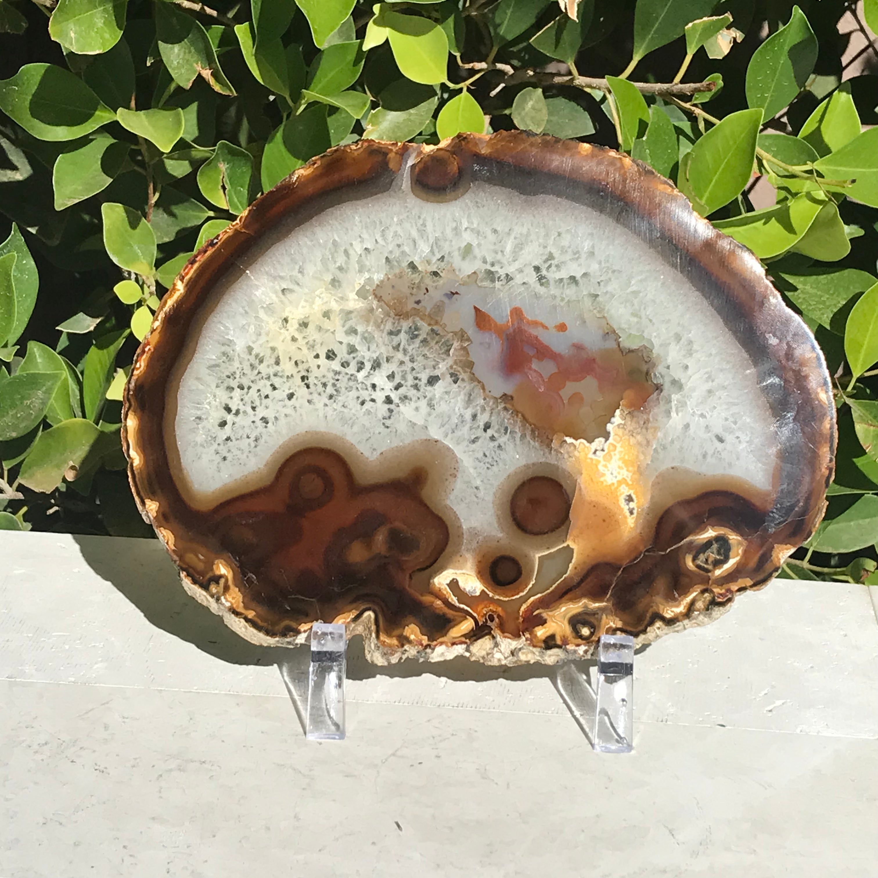 Hues of a Rainbow Agate Slice